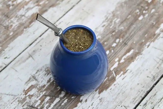 yerba mate tea zotrim review 